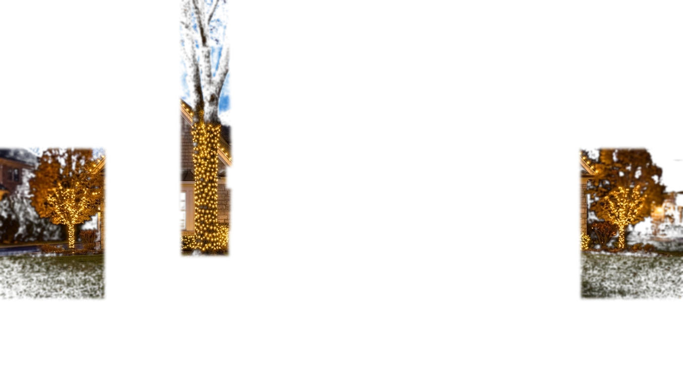 Trees illumination